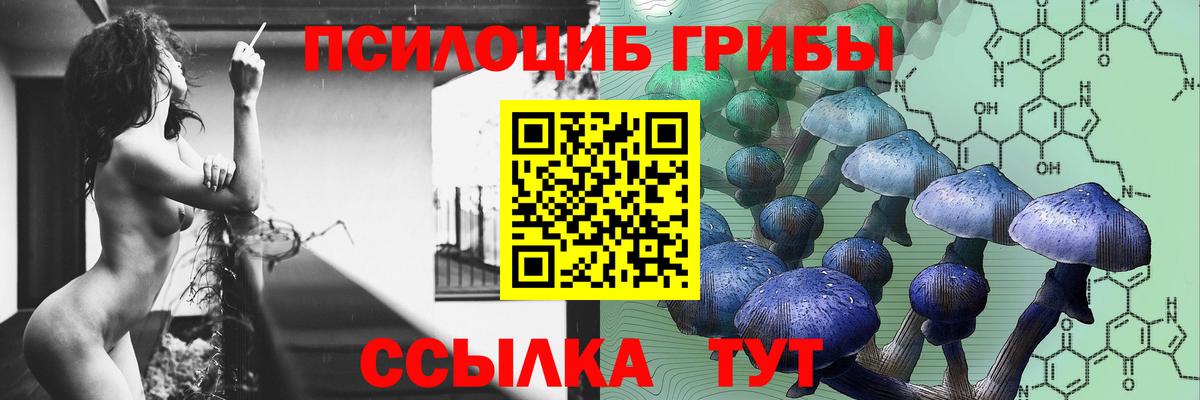 Черкесск  Псилоцибиновые грибы Psilocybe  Вход с VPN 
